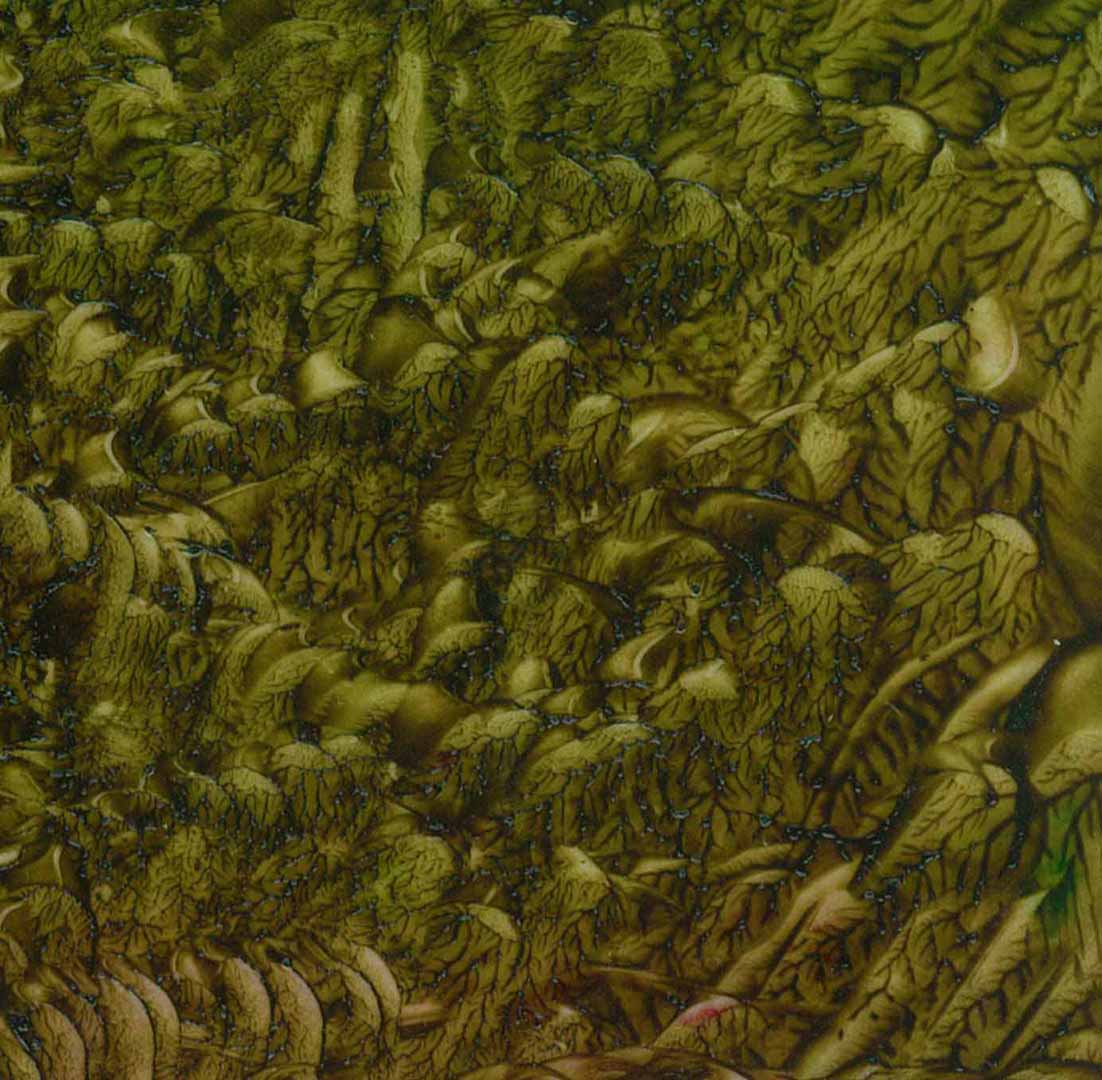 The Art Gallery Exhibitions Online